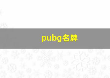 pubg名牌