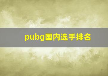 pubg国内选手排名