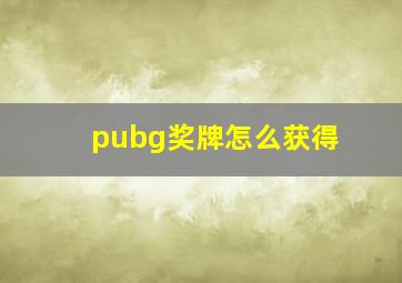 pubg奖牌怎么获得