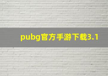 pubg官方手游下载3.1