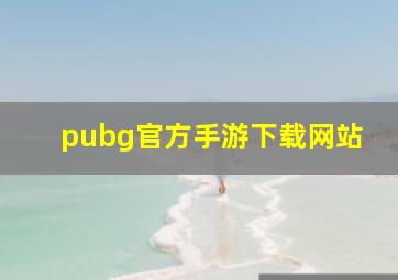 pubg官方手游下载网站