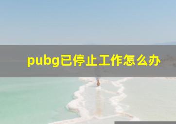 pubg已停止工作怎么办