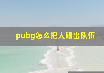 pubg怎么把人踢出队伍