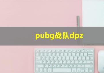 pubg战队dpz