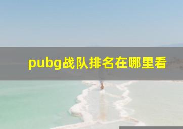 pubg战队排名在哪里看