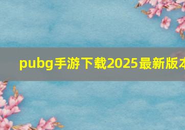 pubg手游下载2025最新版本