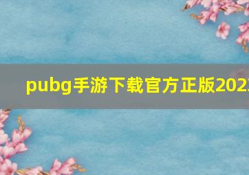 pubg手游下载官方正版2023