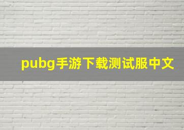 pubg手游下载测试服中文