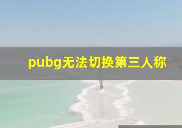 pubg无法切换第三人称