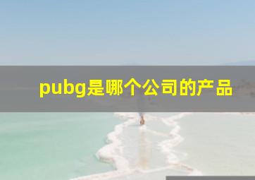 pubg是哪个公司的产品