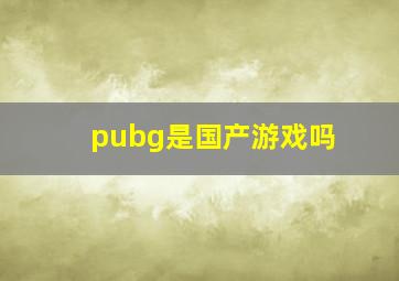 pubg是国产游戏吗