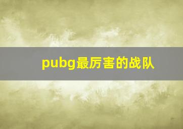 pubg最厉害的战队