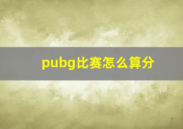 pubg比赛怎么算分