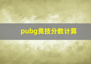 pubg竞技分数计算