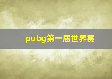 pubg第一届世界赛