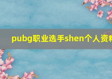 pubg职业选手shen个人资料