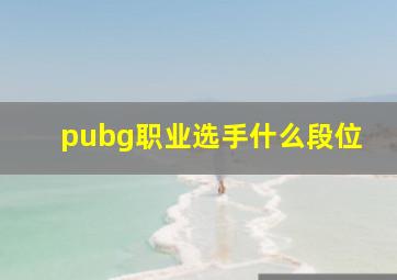 pubg职业选手什么段位