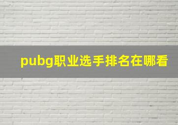 pubg职业选手排名在哪看