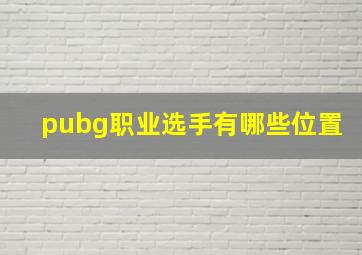 pubg职业选手有哪些位置