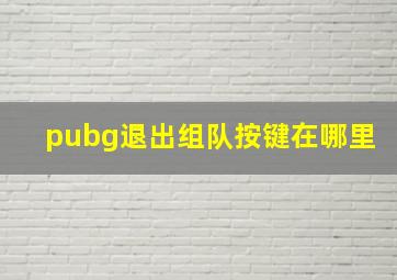 pubg退出组队按键在哪里