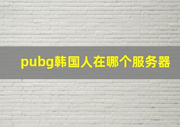 pubg韩国人在哪个服务器