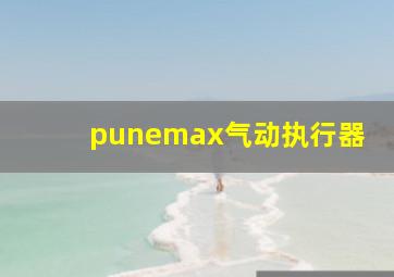 punemax气动执行器