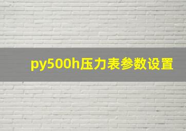 py500h压力表参数设置