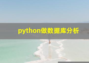 python做数据库分析