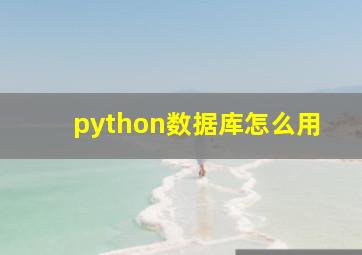 python数据库怎么用