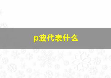 p波代表什么