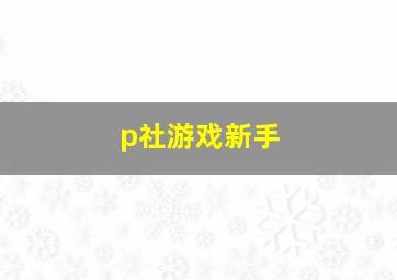 p社游戏新手