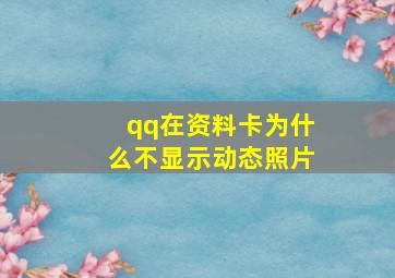 qq在资料卡为什么不显示动态照片