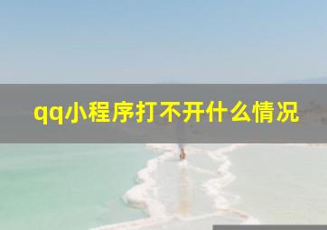 qq小程序打不开什么情况