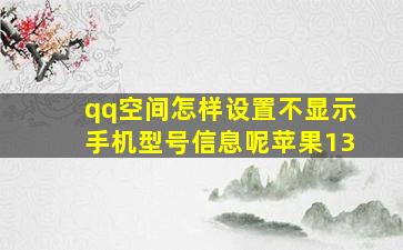 qq空间怎样设置不显示手机型号信息呢苹果13