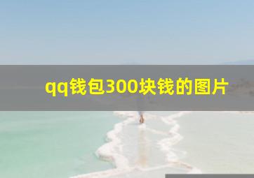 qq钱包300块钱的图片