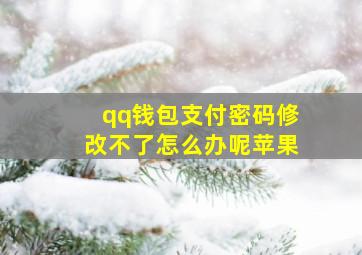 qq钱包支付密码修改不了怎么办呢苹果