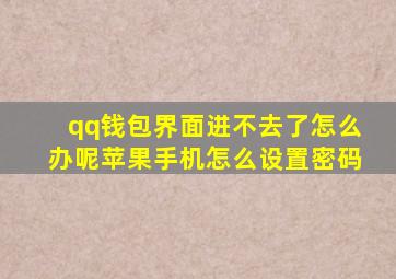 qq钱包界面进不去了怎么办呢苹果手机怎么设置密码