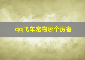 qq飞车宠物哪个厉害