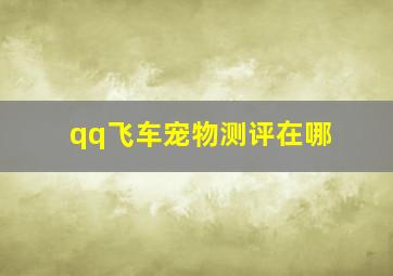 qq飞车宠物测评在哪