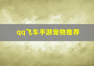 qq飞车手游宠物推荐