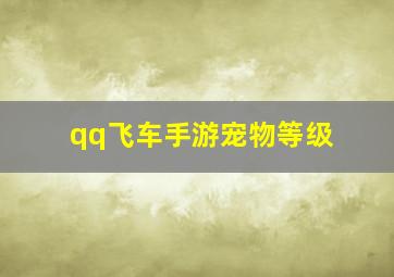 qq飞车手游宠物等级