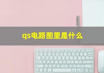 qs电路图里是什么