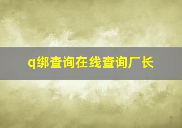 q绑查询在线查询厂长