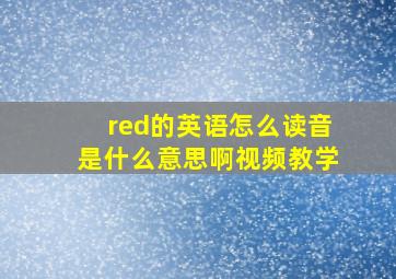 red的英语怎么读音是什么意思啊视频教学