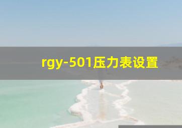 rgy-501压力表设置