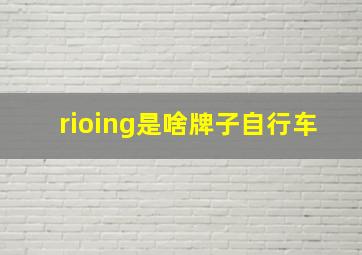 rioing是啥牌子自行车