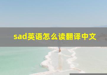 sad英语怎么读翻译中文