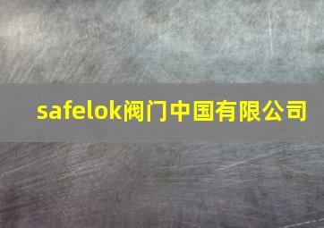 safelok阀门中国有限公司