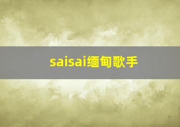 saisai缅甸歌手