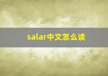 salar中文怎么读